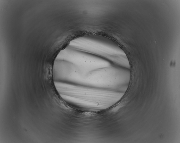 X0000088890528200707061435