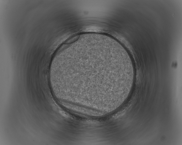 X0000088890529200707061434