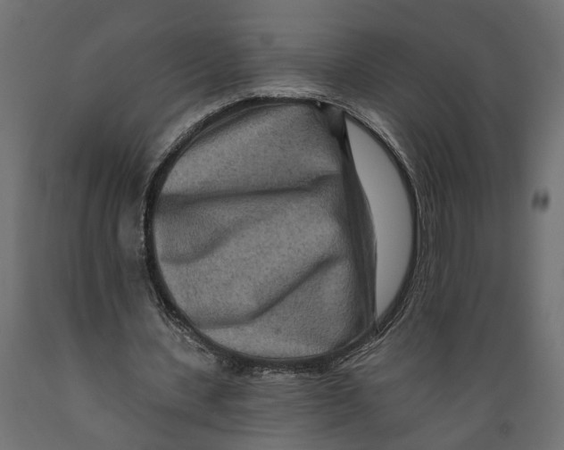 X0000088890531200707061434