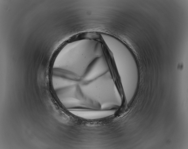 X0000088890532200707061434