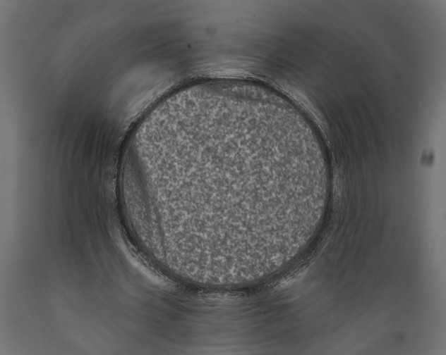 X0000088890533200707061434