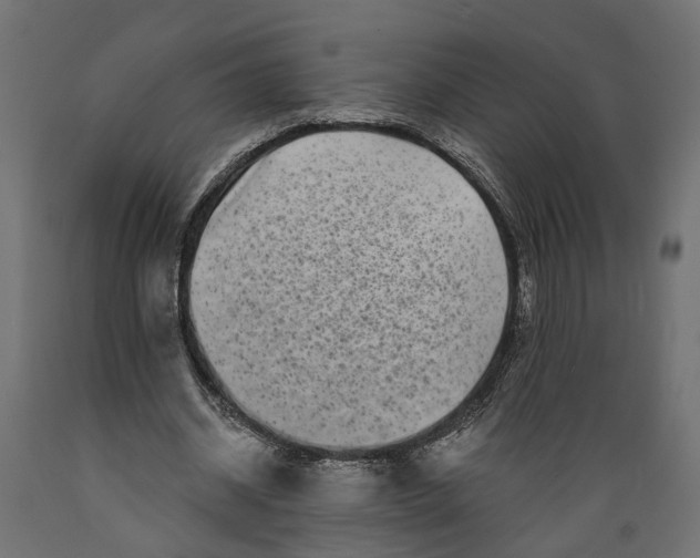 X0000088890534200707061434
