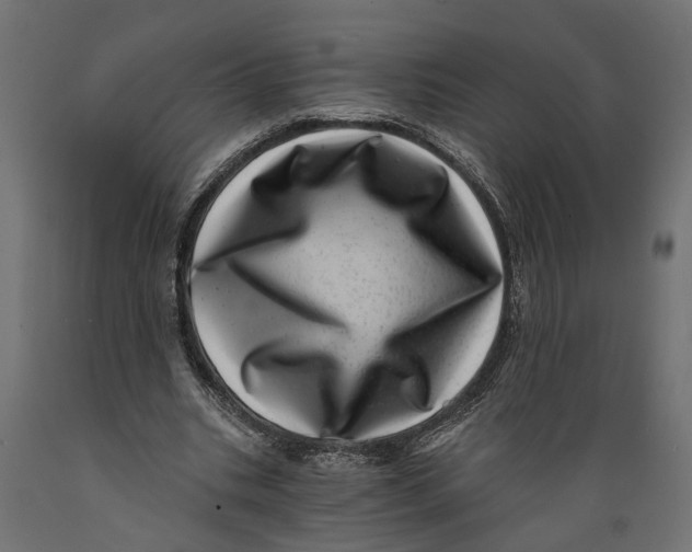 X0000088890535200707061434