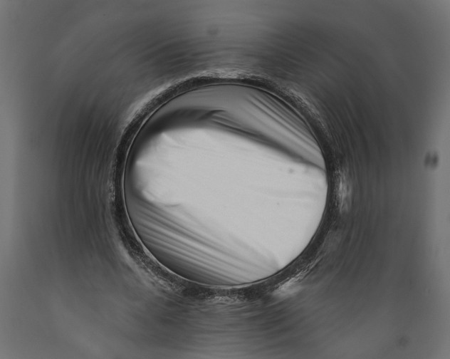X0000088890536200707061434