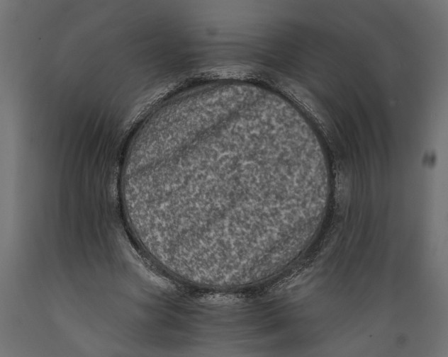 X0000088890537200707061434