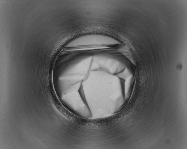 X0000088890538200707061434