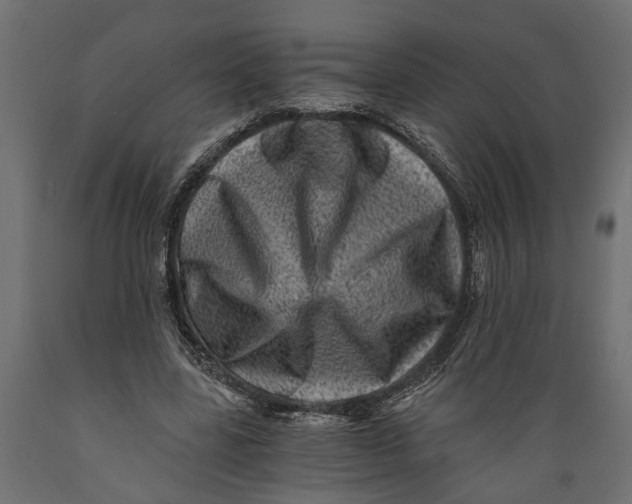 X0000088890539200707061434