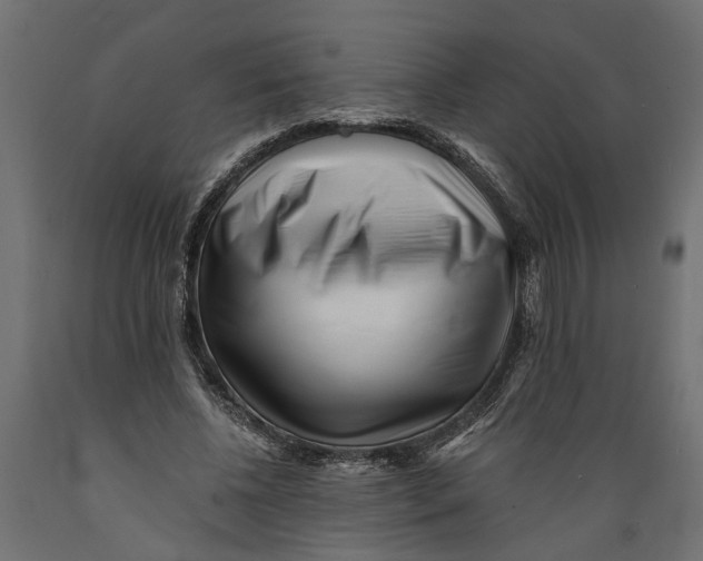 X0000088890540200707061434