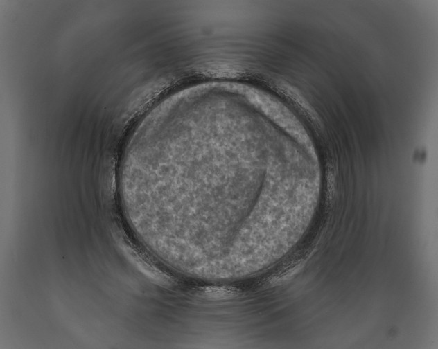 X0000088890541200707061434