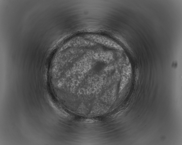 X0000088890542200707061434