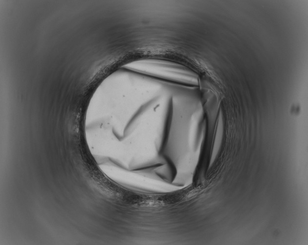 X0000088890543200707061434
