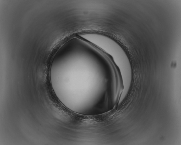X0000088890544200707061434
