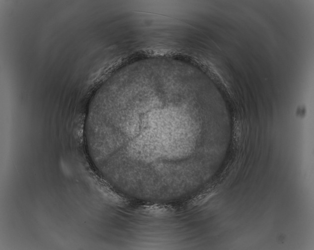 X0000088890545200707061434