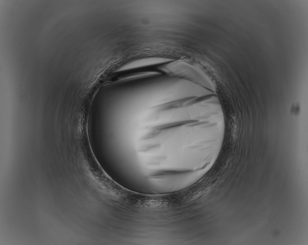 X0000088890546200707061434