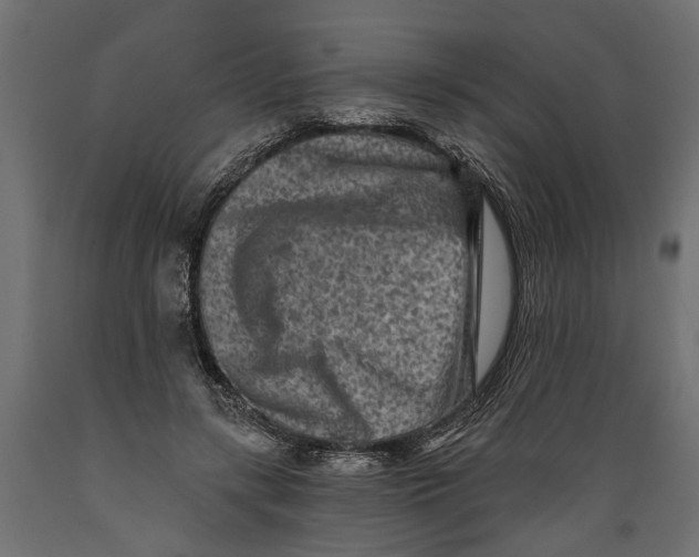X0000088890547200707061434