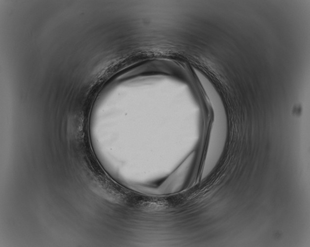 X0000088890548200707061434