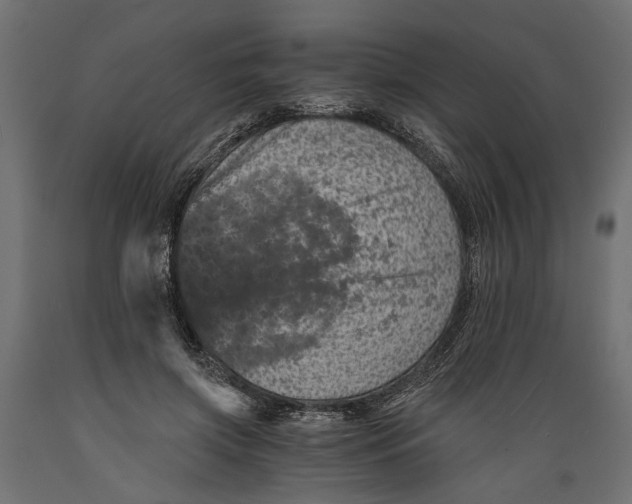 X0000088890549200707061434