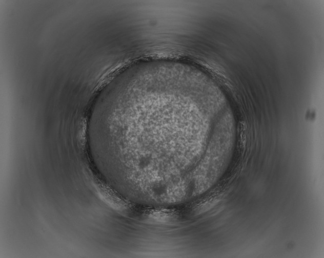 X0000088890550200707061434