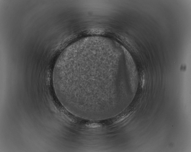 X0000088890551200707061434