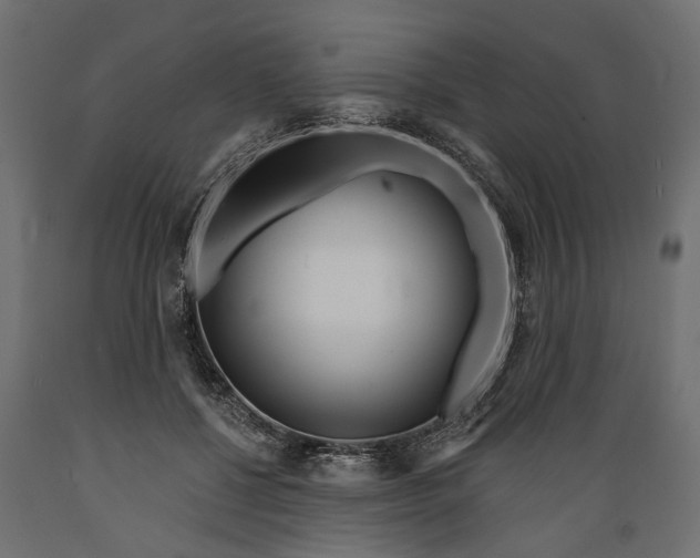 X0000088890552200707061434