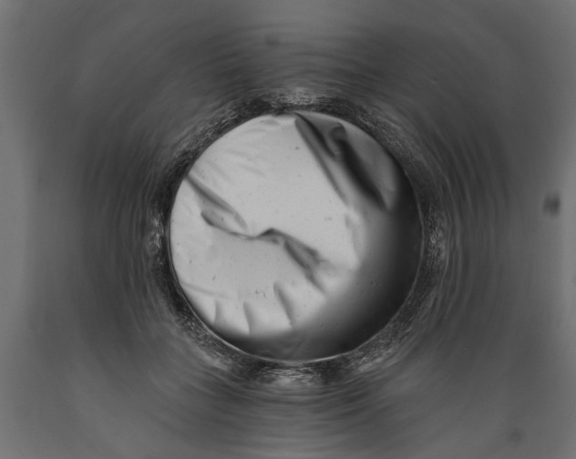 X0000088890555200707061434