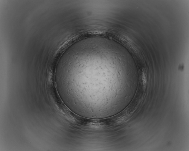 X0000088890556200707061434