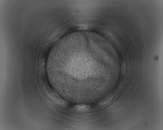 X0000088890557200707061434