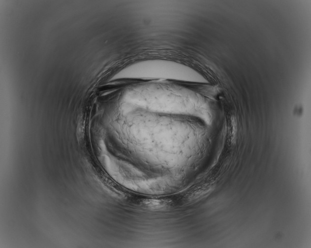 X0000088890558200707061434
