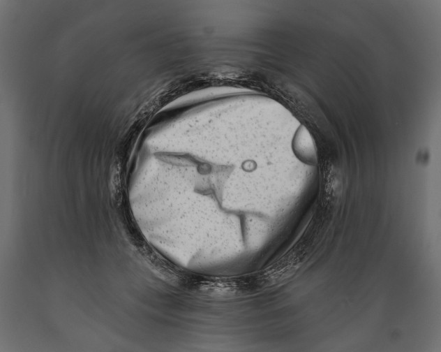 X0000088890559200707061434