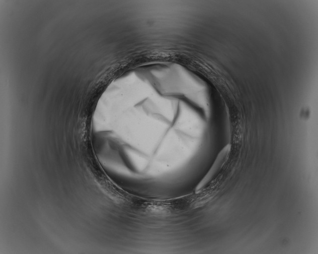 X0000088890560200707061434