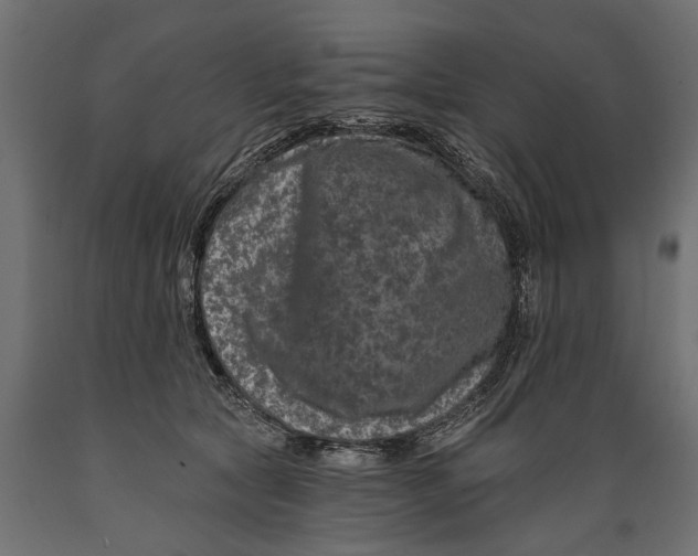 X0000088890561200707061434