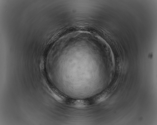 X0000088890562200707061434