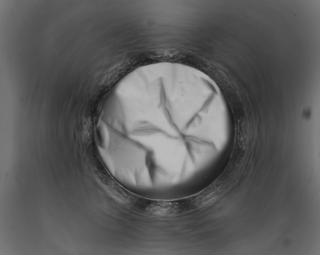 X0000088890563200707061434