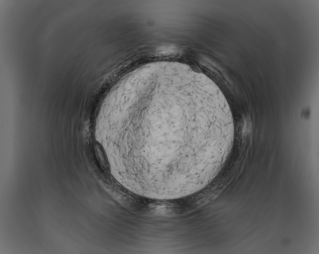 X0000088890564200707061434