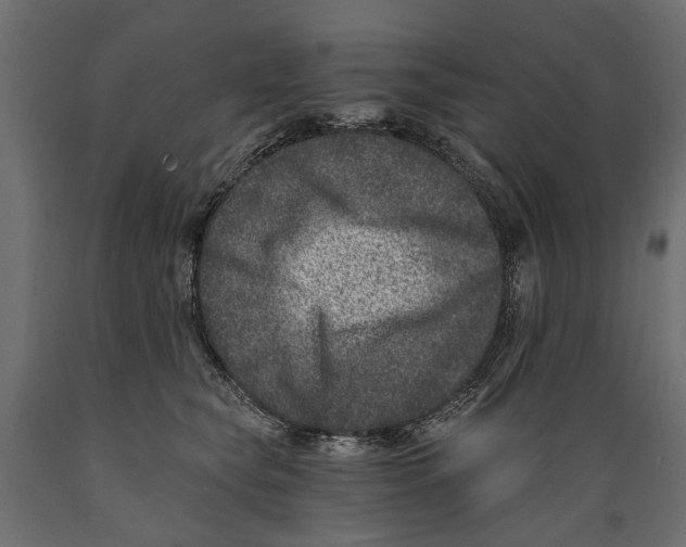 X0000088890565200707061434