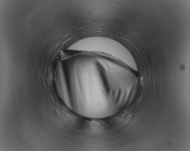 X0000088890566200707061434
