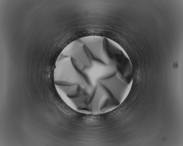 X0000088890567200707061434