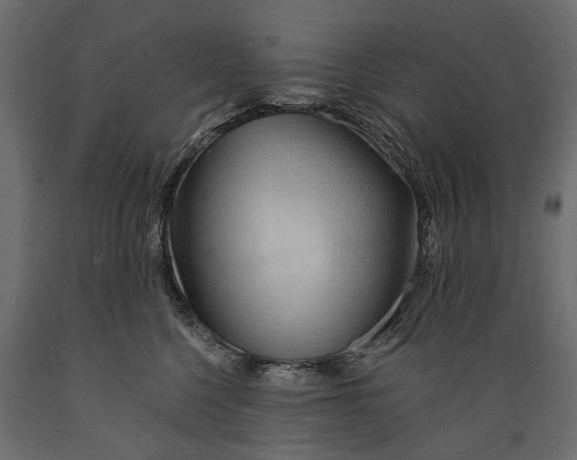 X0000088890568200707061434