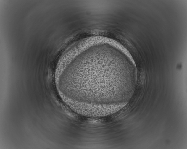 X0000088890569200707061434