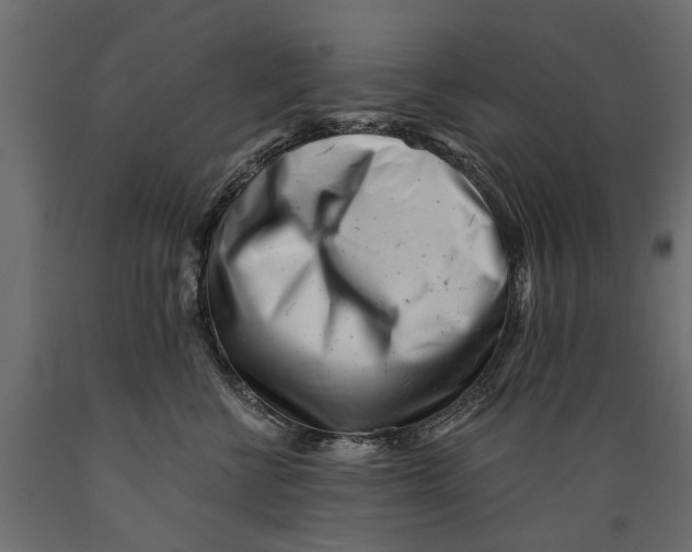 X0000088890570200707061434