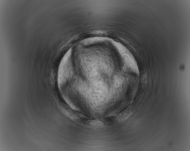 X0000088890572200707061434