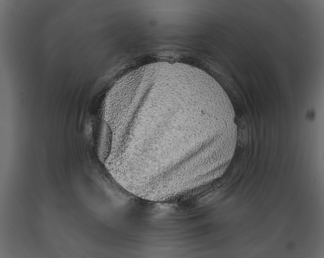 X0000088890573200707061434