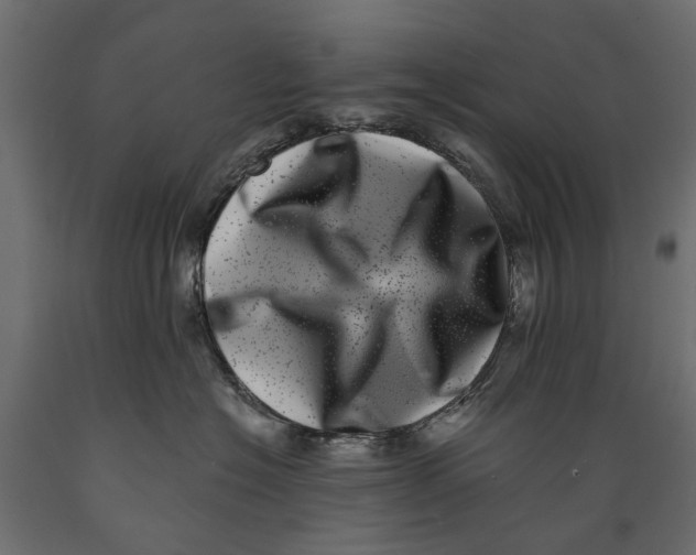 X0000088890574200707061434