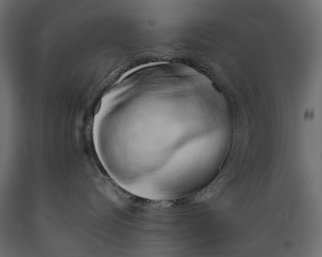 X0000088890576200707061435