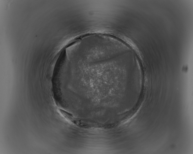 X0000088890577200707061434