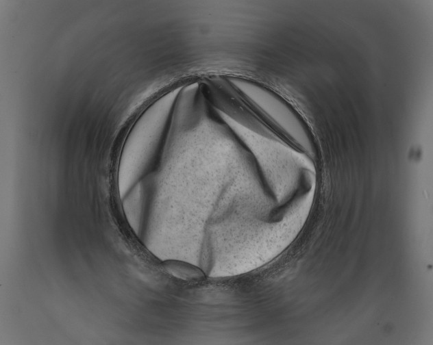 X0000088890578200707061434