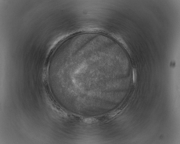X0000088890579200707061434