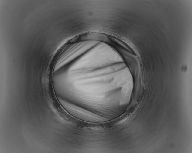 X0000088890580200707061434