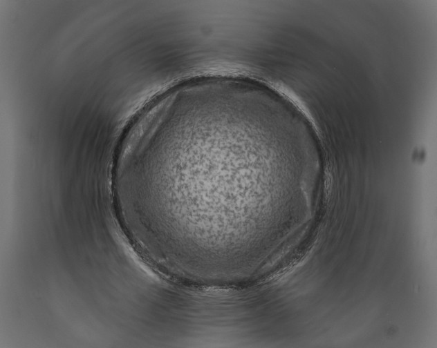 X0000088890581200707061434