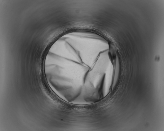 X0000088890582200707061434